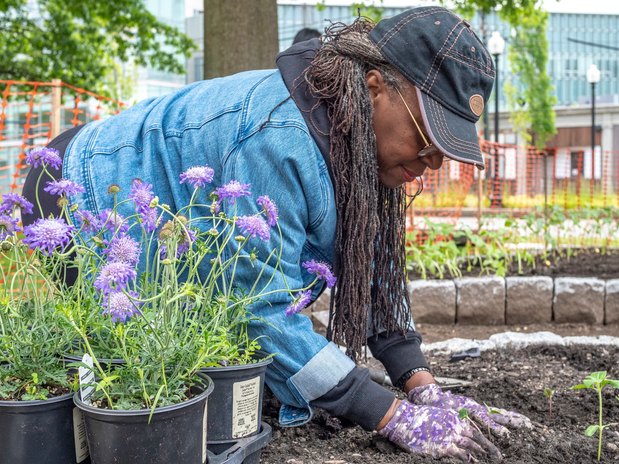 Ekua Holmes, wearing gloves, kneels over a garden, beside a pot of purple flowers.