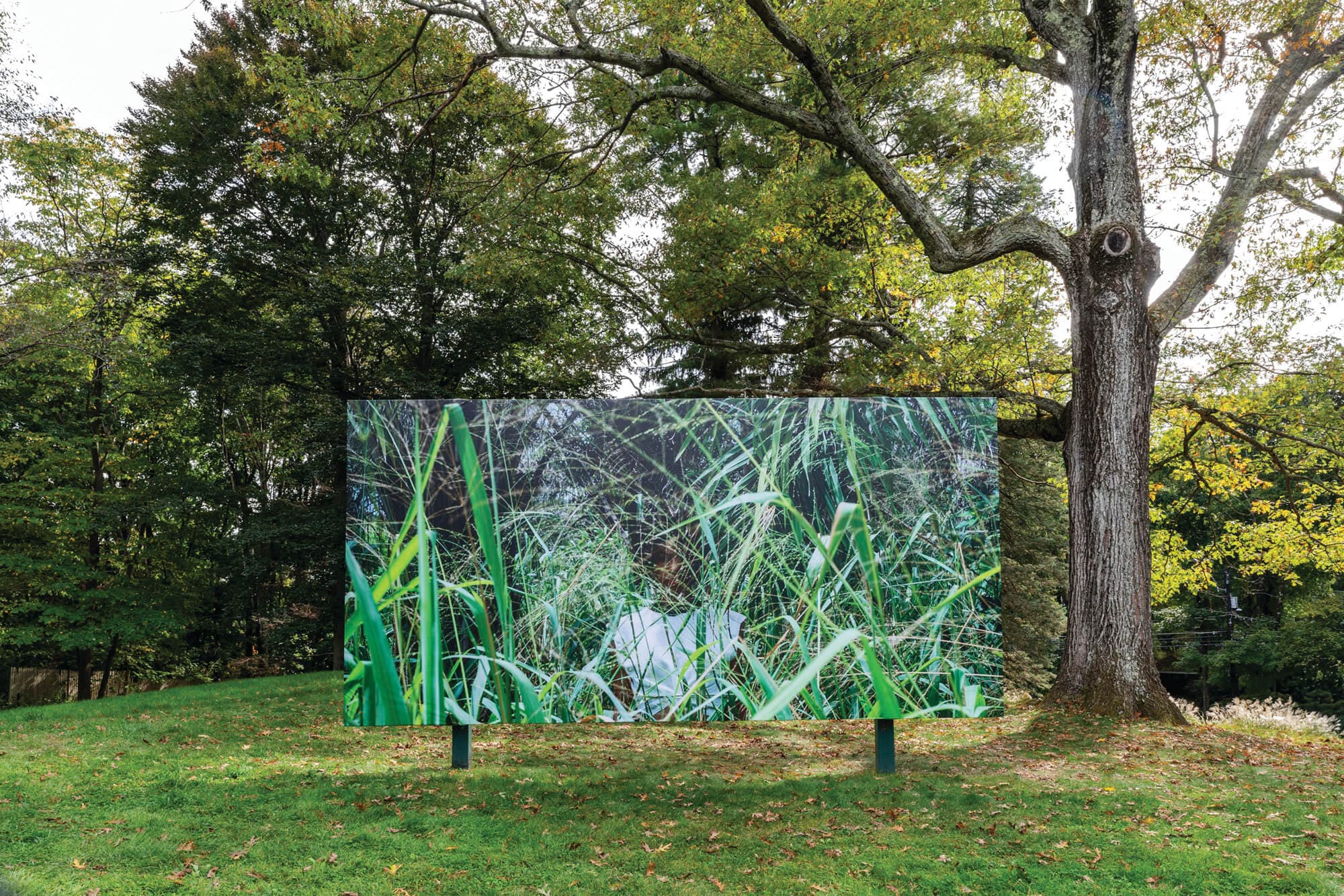 A billboard with an image of grass is situated in a natural setting.